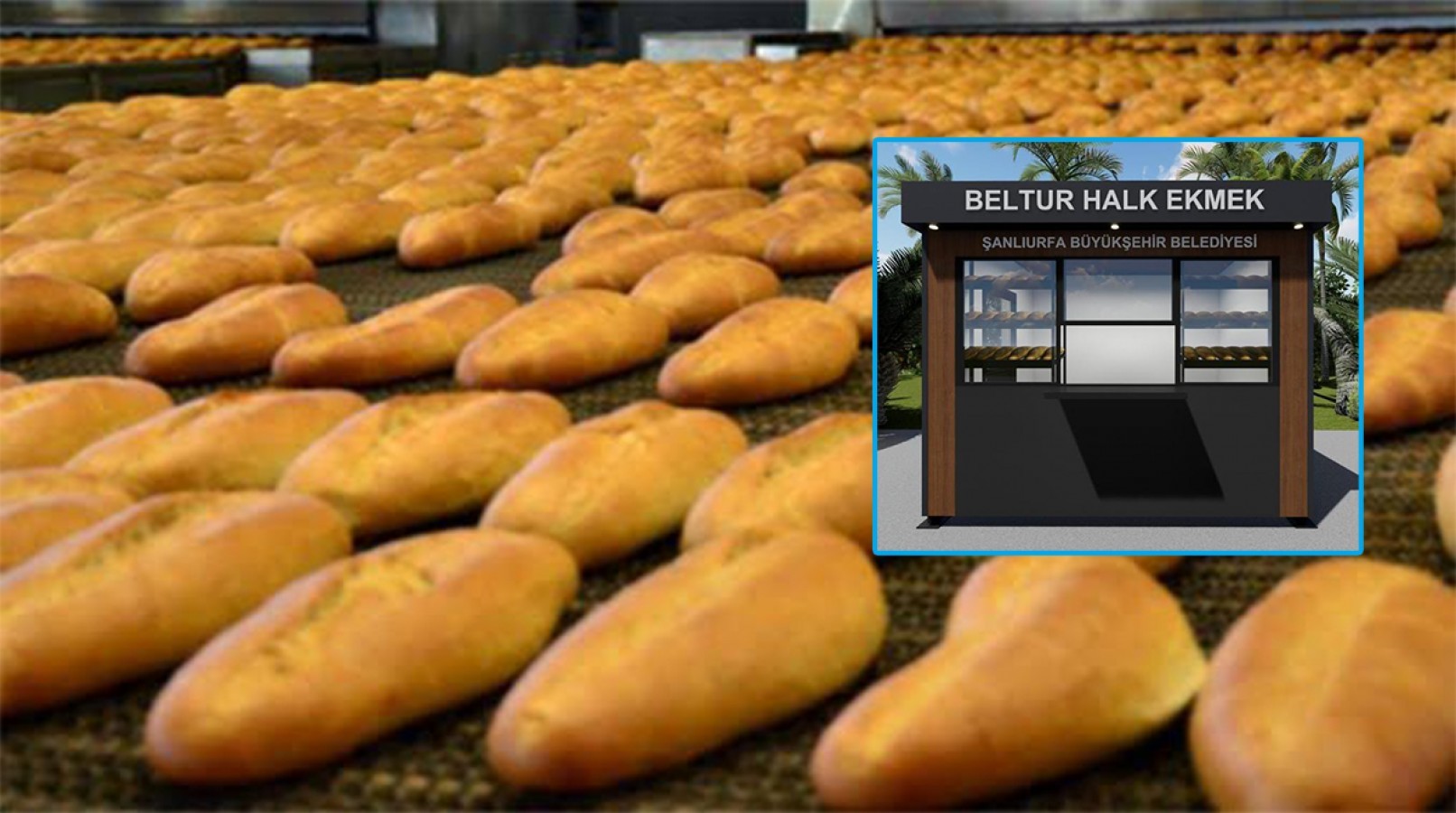 Şanlıurfa Halk Ekmek Fabrikası Açılıyor Beltur Ekmeğin Satış Noktalarını Belirledi..