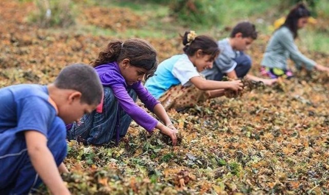 Mevsimlik Tarım İşçisi Ailelerin Çocukları için Yeni Eğitim Modeli;