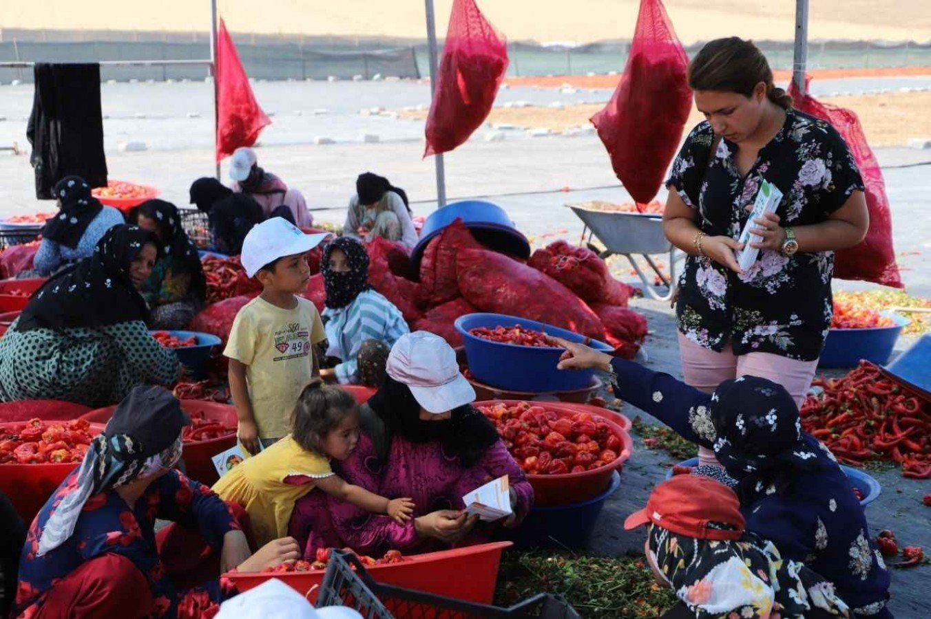 TUİK Açıkladı Şanlıurfa'da Kadın İstihdamı En Düşük İllerden