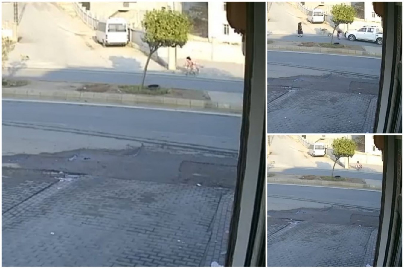 Eyyübiye'de Sokak Köpekleri Küçük Kıza Saldırdı..
