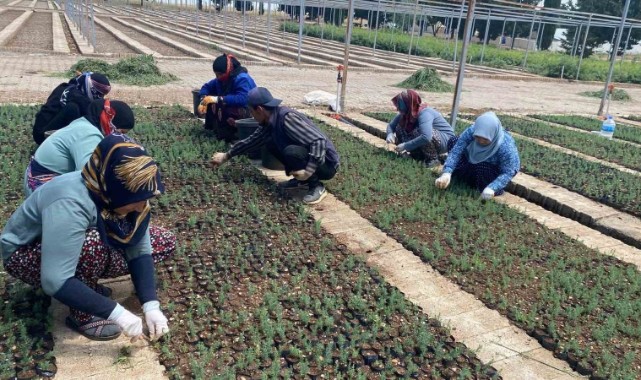 Türkiye'de Eylül Ayında İşsizlik Yüzde 8,6 Seviyesindeymiş;