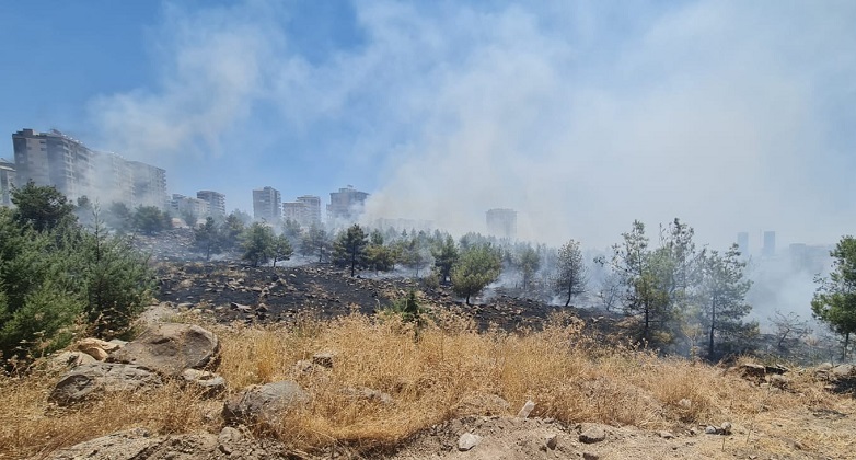 Urfa'da Orman Yangını Söndürüldü..;
