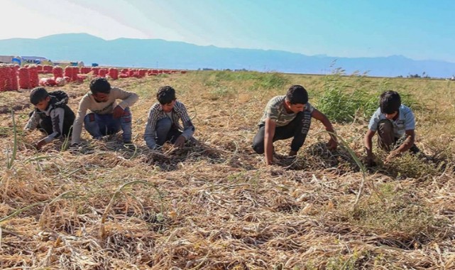 Şanlıurfa'da Mevsimlik Tarım işçilerinin Sorunları Tartışıldı;