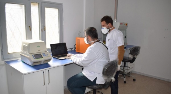 Barış Pınarı bölgesinde PCR test laboratuvarı kuruldu