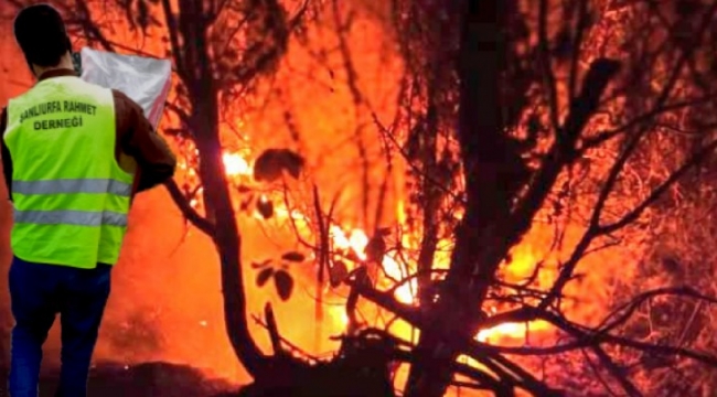 Şanlıurfa'dan Manavgat Yangını için Yardım Kampanyası Başladı;
