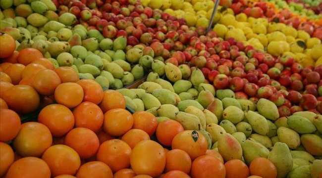 Yaş meyve sebze ihracatı son bir yılda 3 milyar doları aştı;