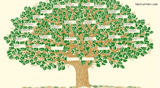 Soyağacını Öğrenme E-Devlet Üzerinden Soy Ağacını Oluşturabilirsiniz