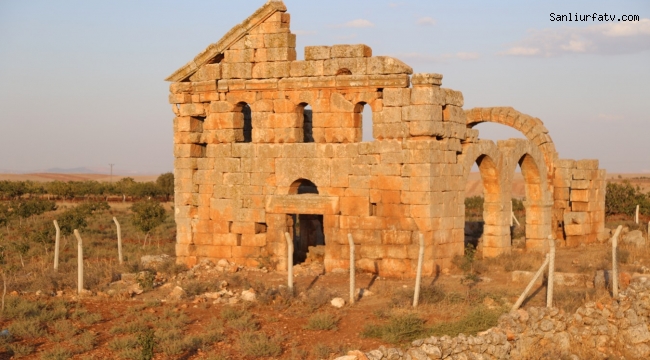 Şanlıurfa'da Tarihi Kilise Restorasyonu Bekliyor;