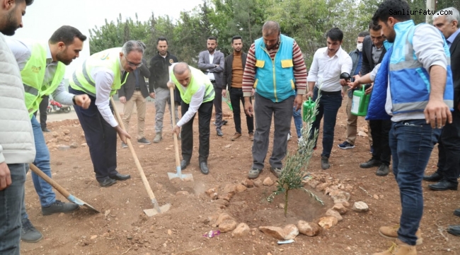 Eyyübiye'de Yeşil Okullar Projesiyle Ağaçlandırma Seferberliği