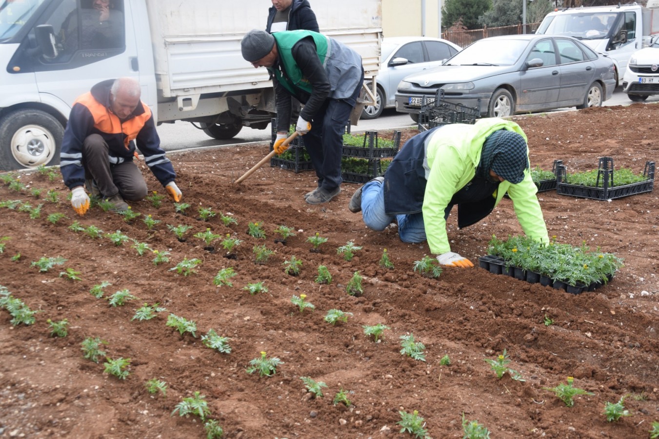 Viranşehir’i gül ve çiçeklerle donatıyorlar;