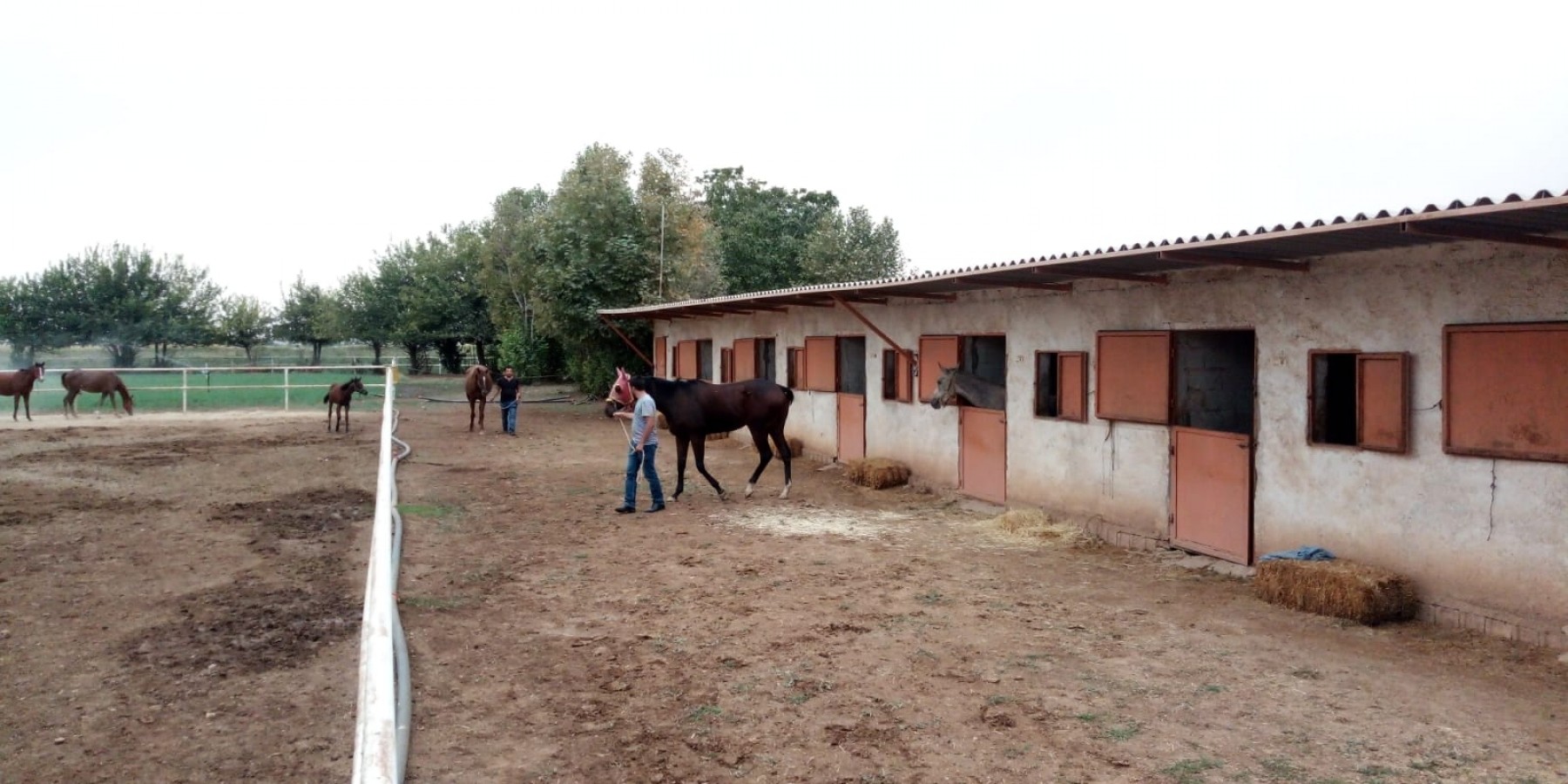 Veriler açıklandı! Şanlıurfa başı çekiyor;