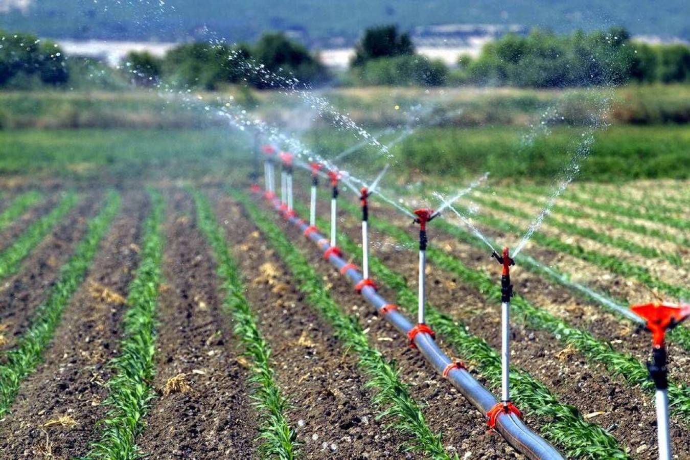 Tarımsal girdi fiyat endeksi istatistikleri açıklandı