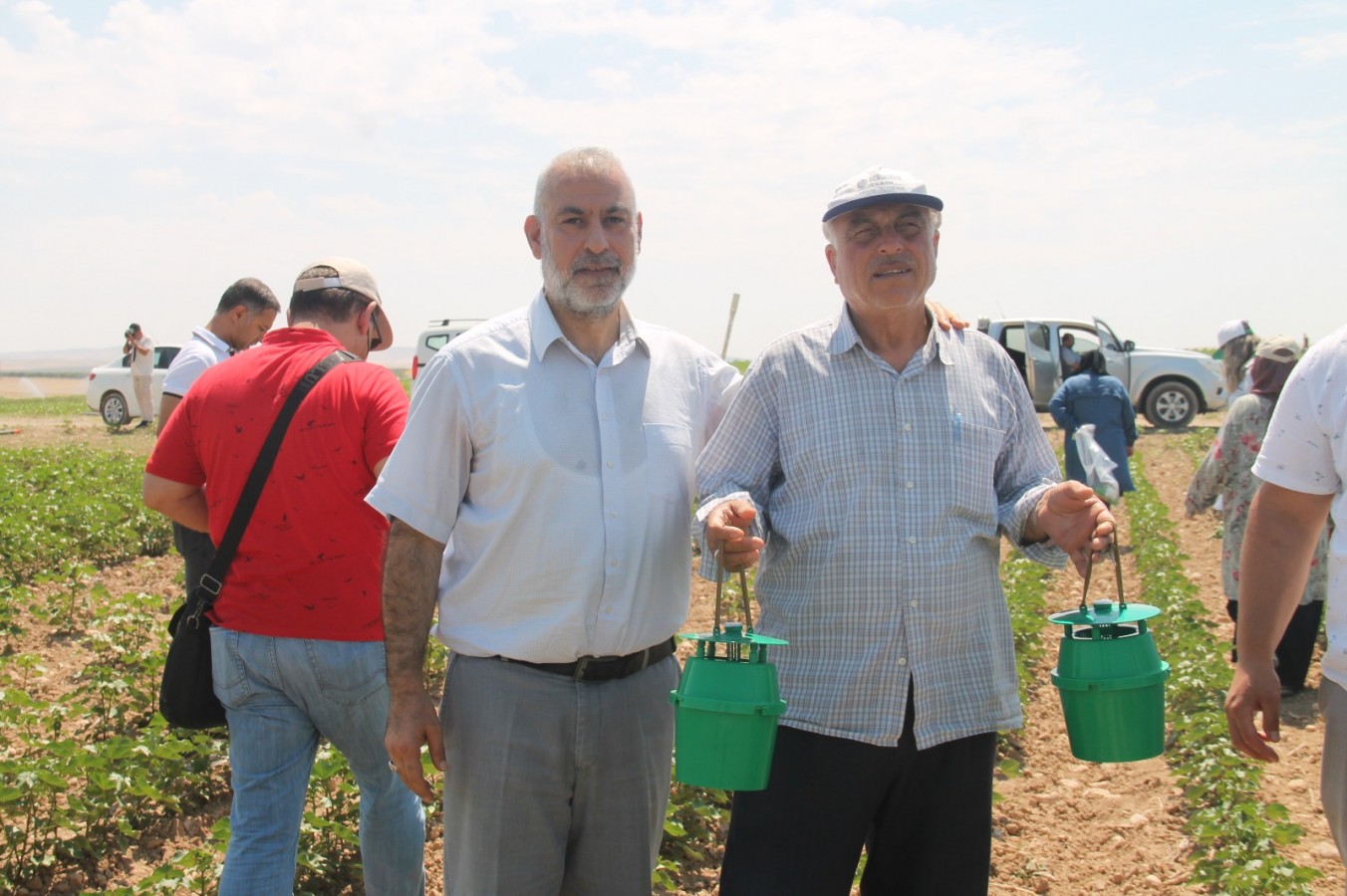 Karaköprü’de pamukta verimi düşüren zararlı böceklere karşı "feromon tuzağı"