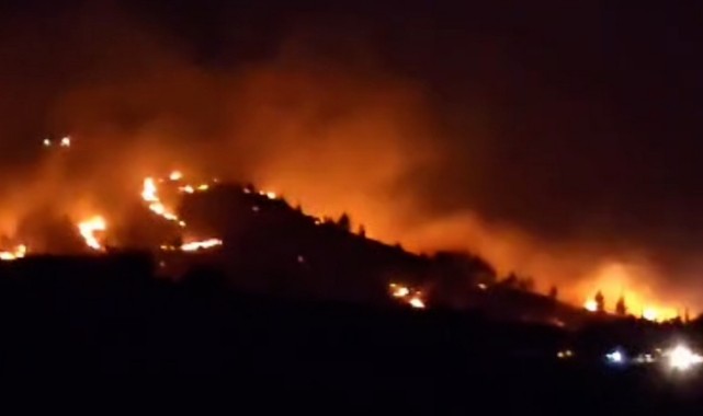 Eyyübiye'de Ormanlık Alan Yangını İtfaiyecilerin Gayretiyle Söndürüldü.